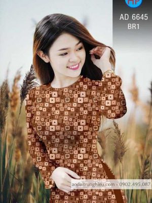 1587437607 158 Vai ao dai hoa van kieu moi AD 6645