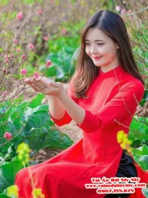 1616637595 926 Vai Ao Dai Thai Tuan Tron Hong Dam Moi Ra