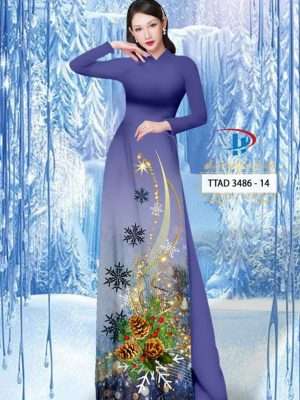 1669262223 954 Vai Ao Dai Giang Sinh Vua Ra AD TTAD3486